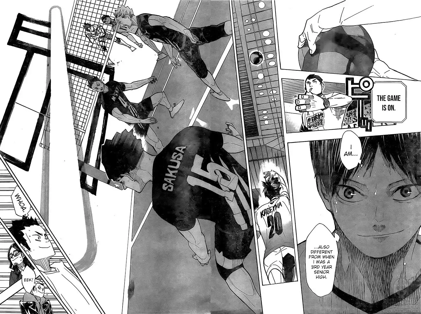 Read Haikyuu!! Manga Online