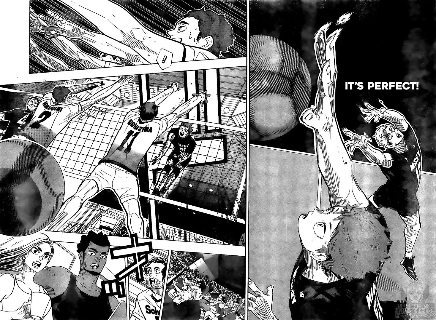 Read Haikyuu!! Manga Online