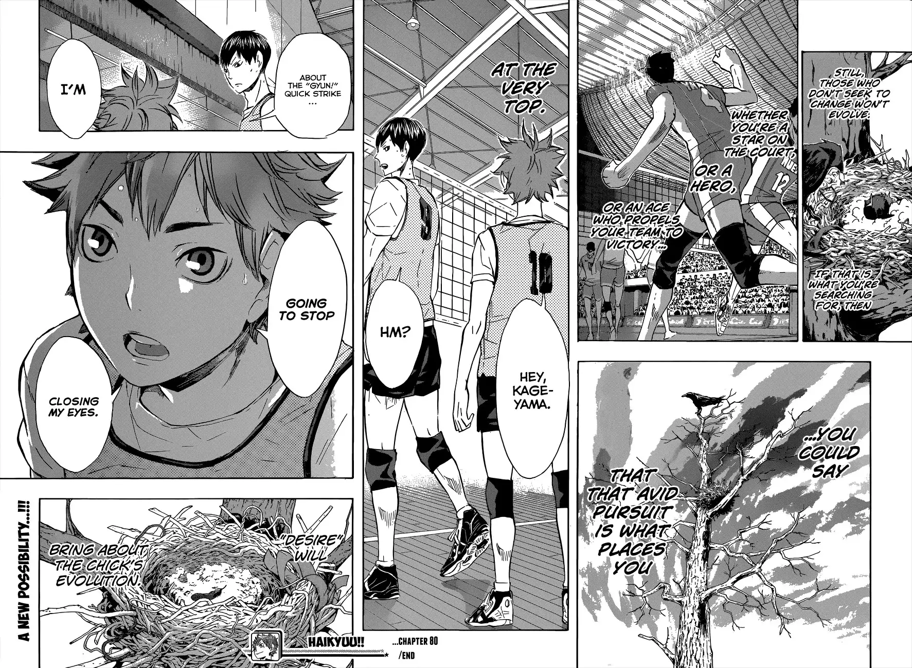 Read Haikyuu!! Manga Online