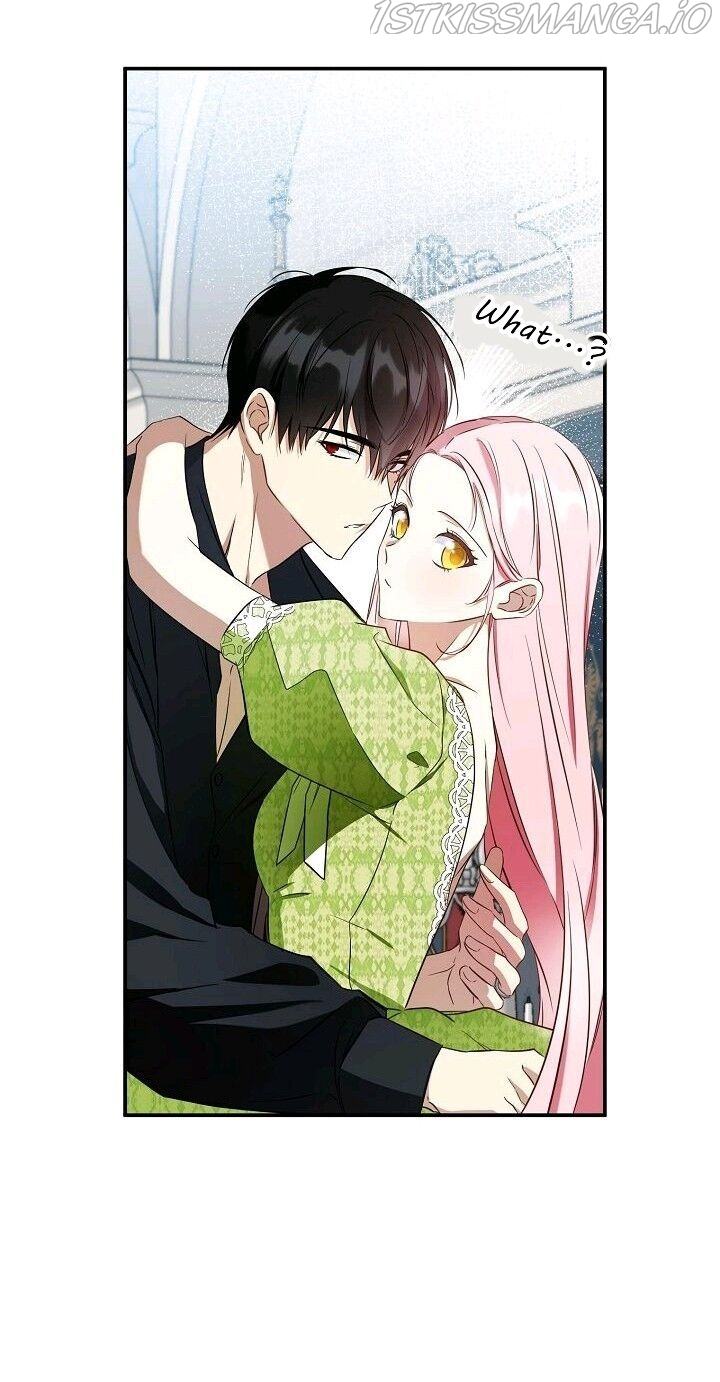 Read I Was Tricked into this Fake Marriage! Manga Online