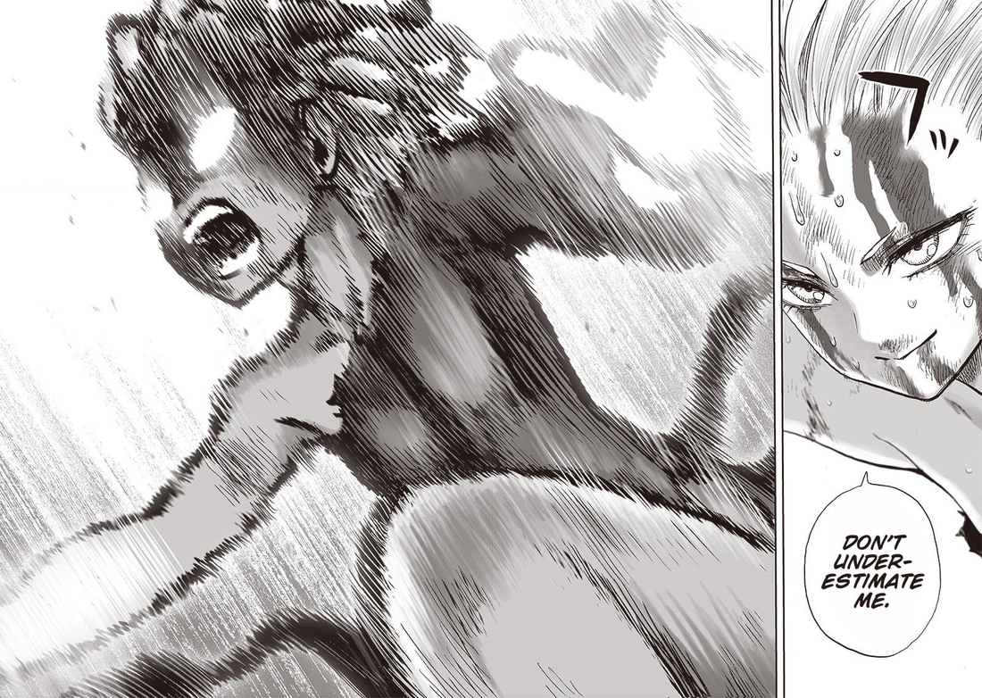 Read One Punch-Man Manga Online