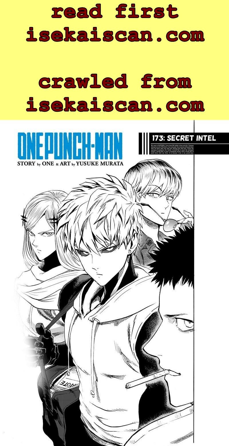 Read One Punch-Man Manga Online