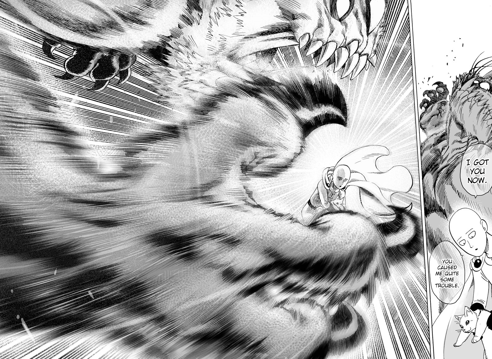 Read One Punch-Man Manga Online