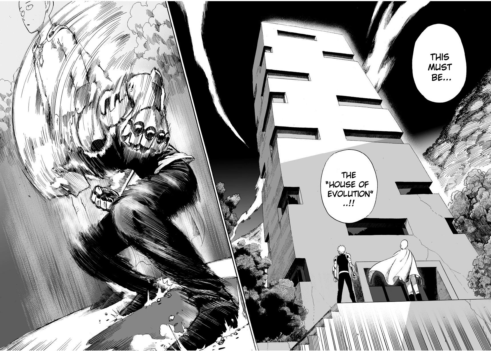 Read One Punch-Man Manga Online