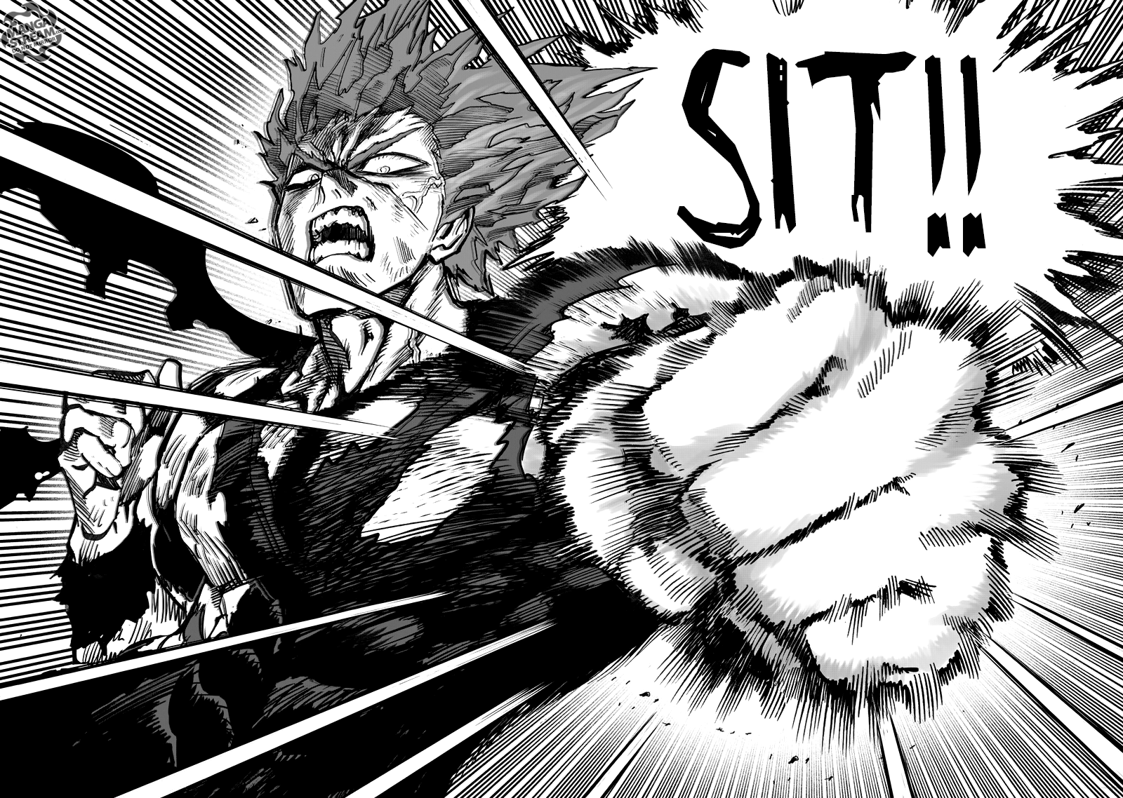 Read One Punch-Man Manga Online