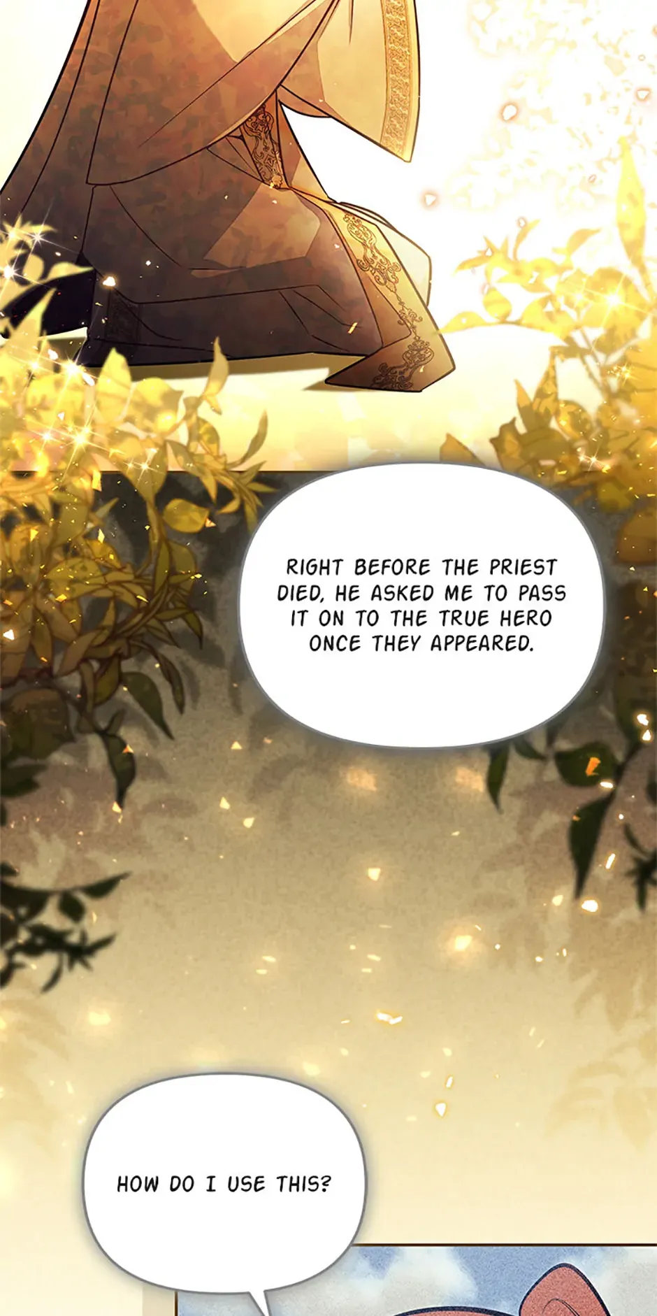 Read There Is No Place for Fakes Manga Online