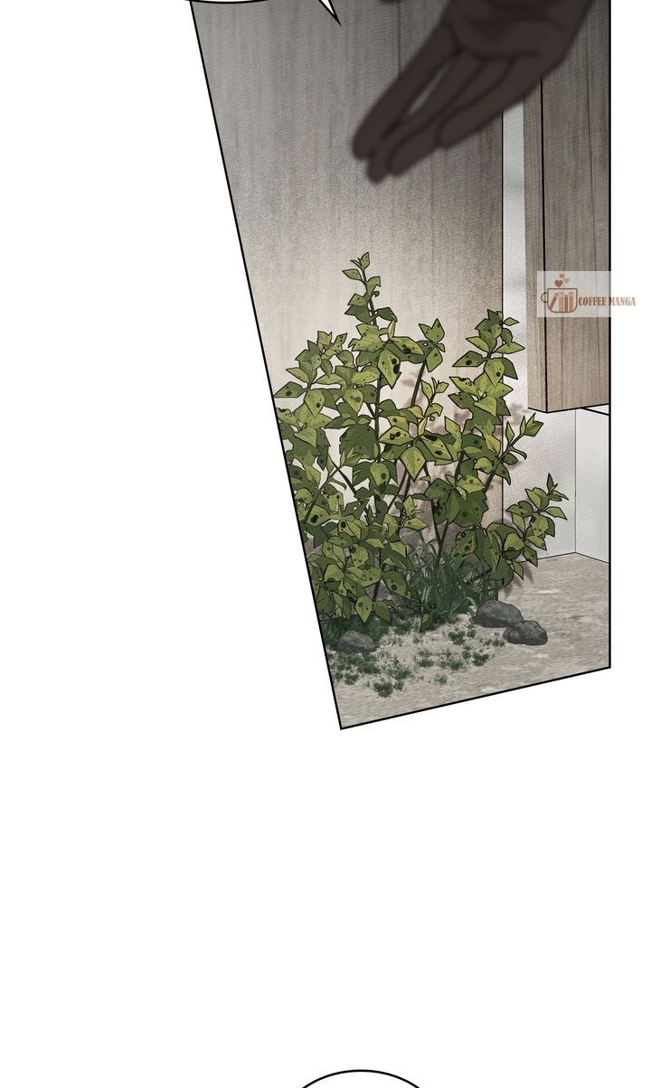Read Under the Oak Tree Manga Online