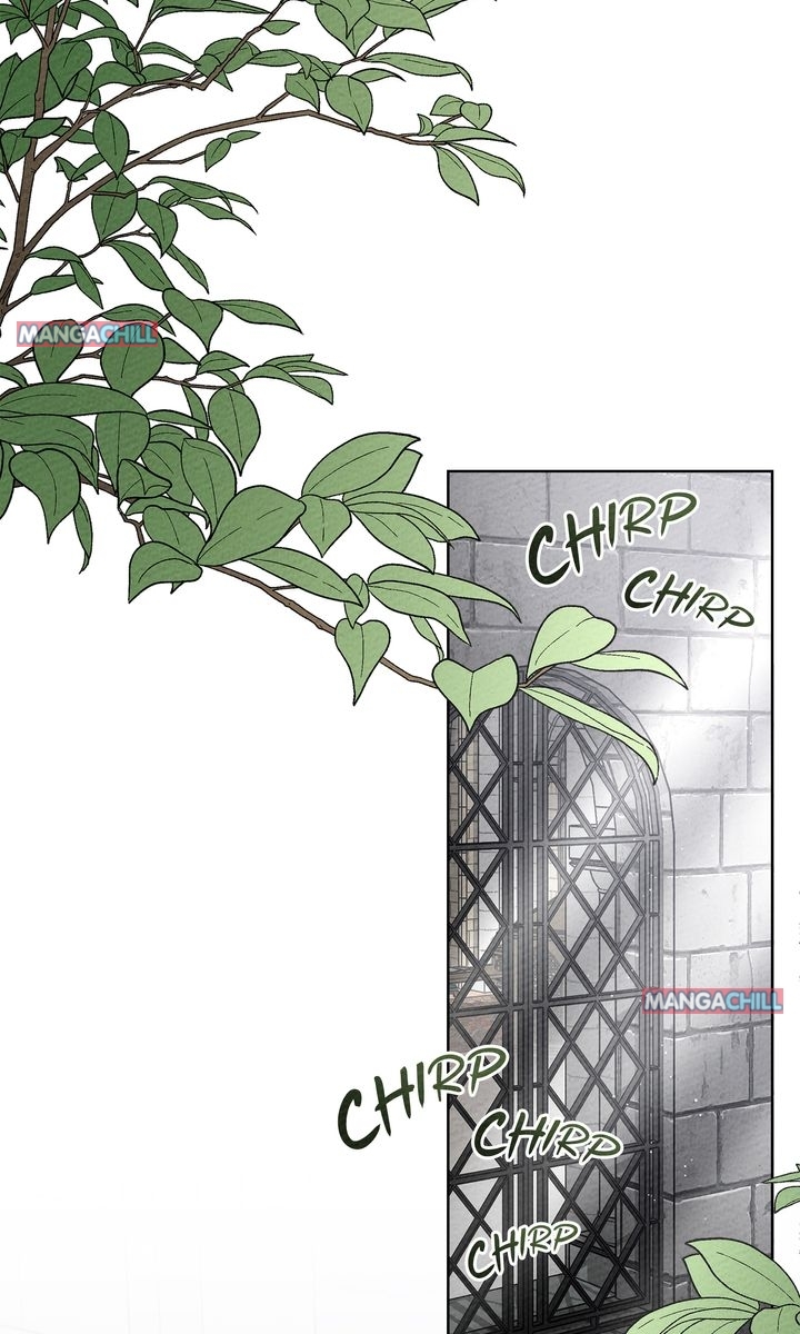 Read Under the Oak Tree Manga Online