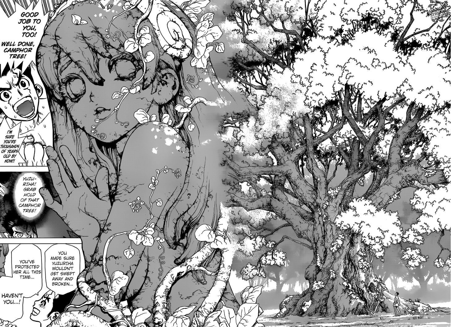 Read dr. Stone Manga Online