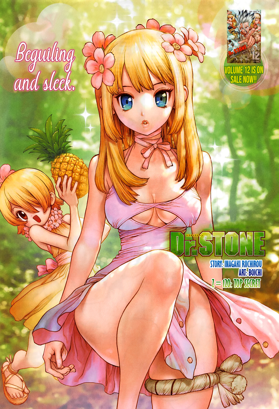Read dr. Stone Manga Online