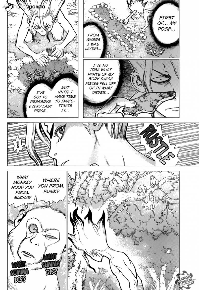 Read dr. Stone Manga Online