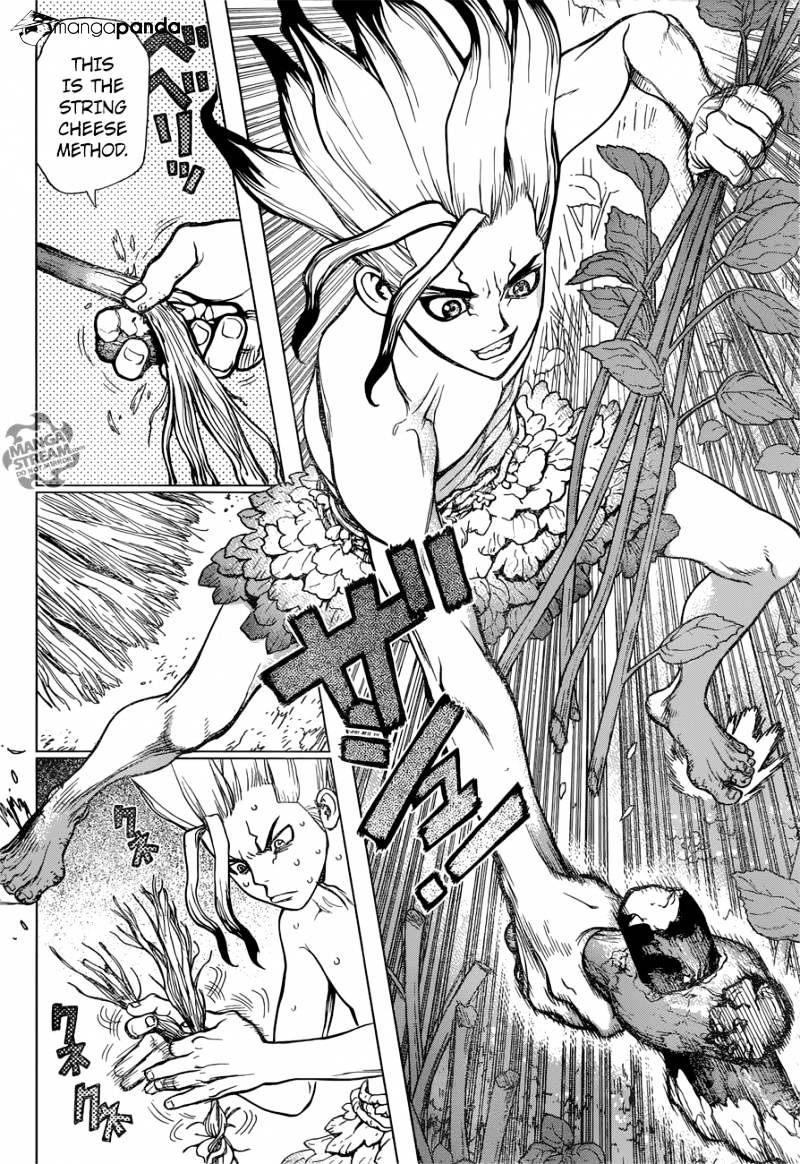 Read dr. Stone Manga Online