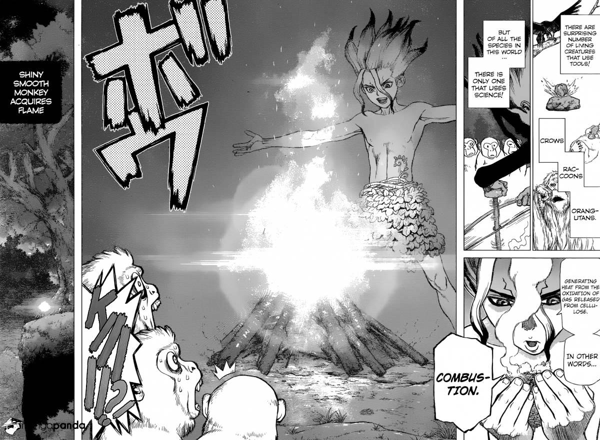 Read dr. Stone Manga Online