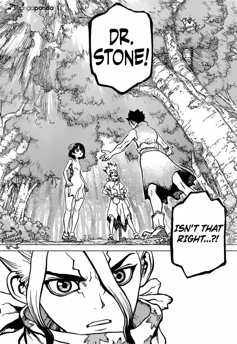 Read dr. Stone Manga Online