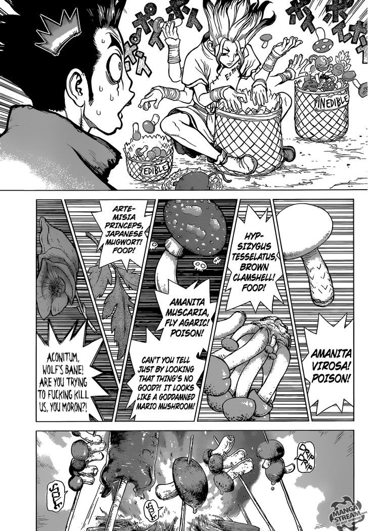Read dr. Stone Manga Online