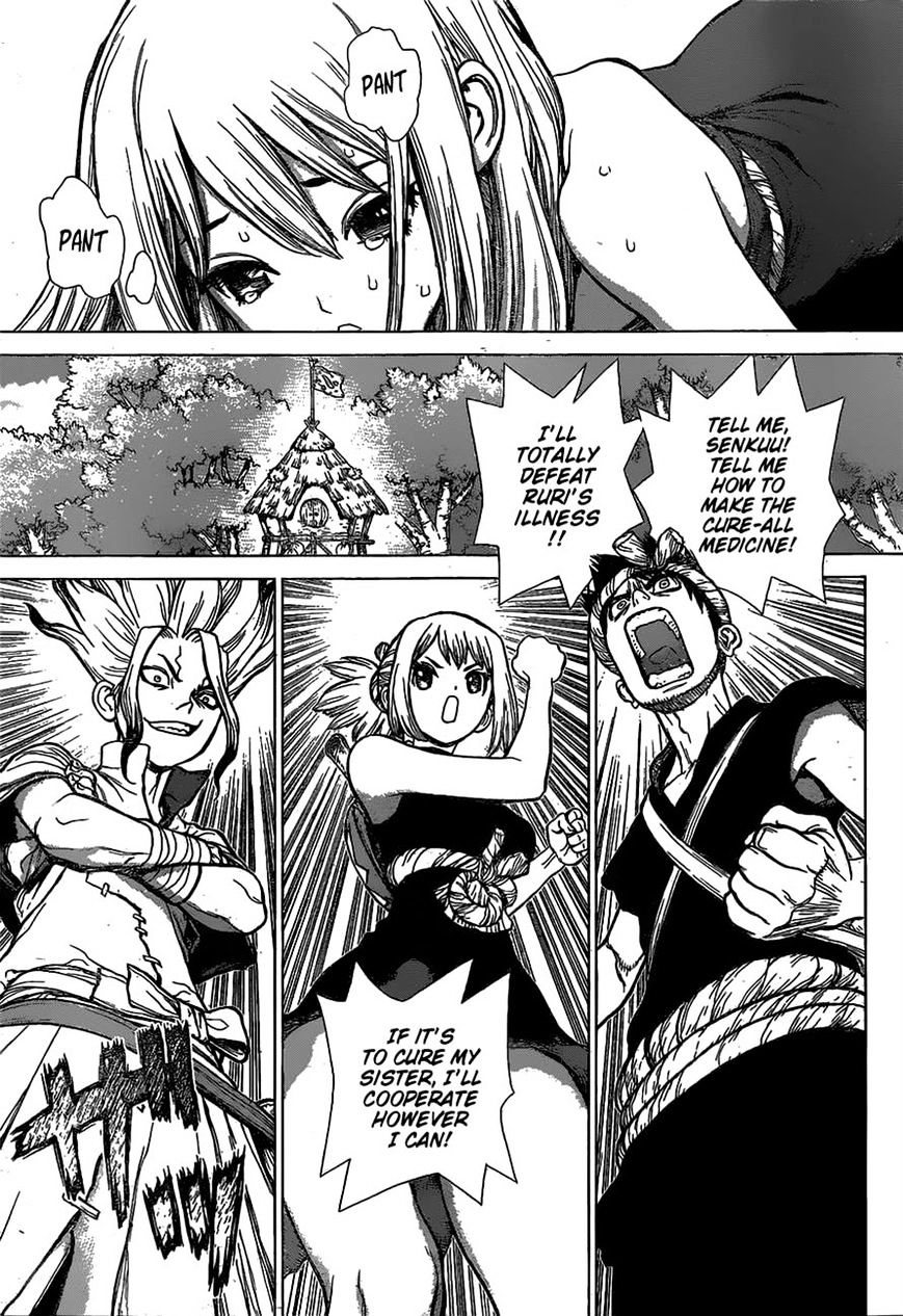 Read dr. Stone Manga Online