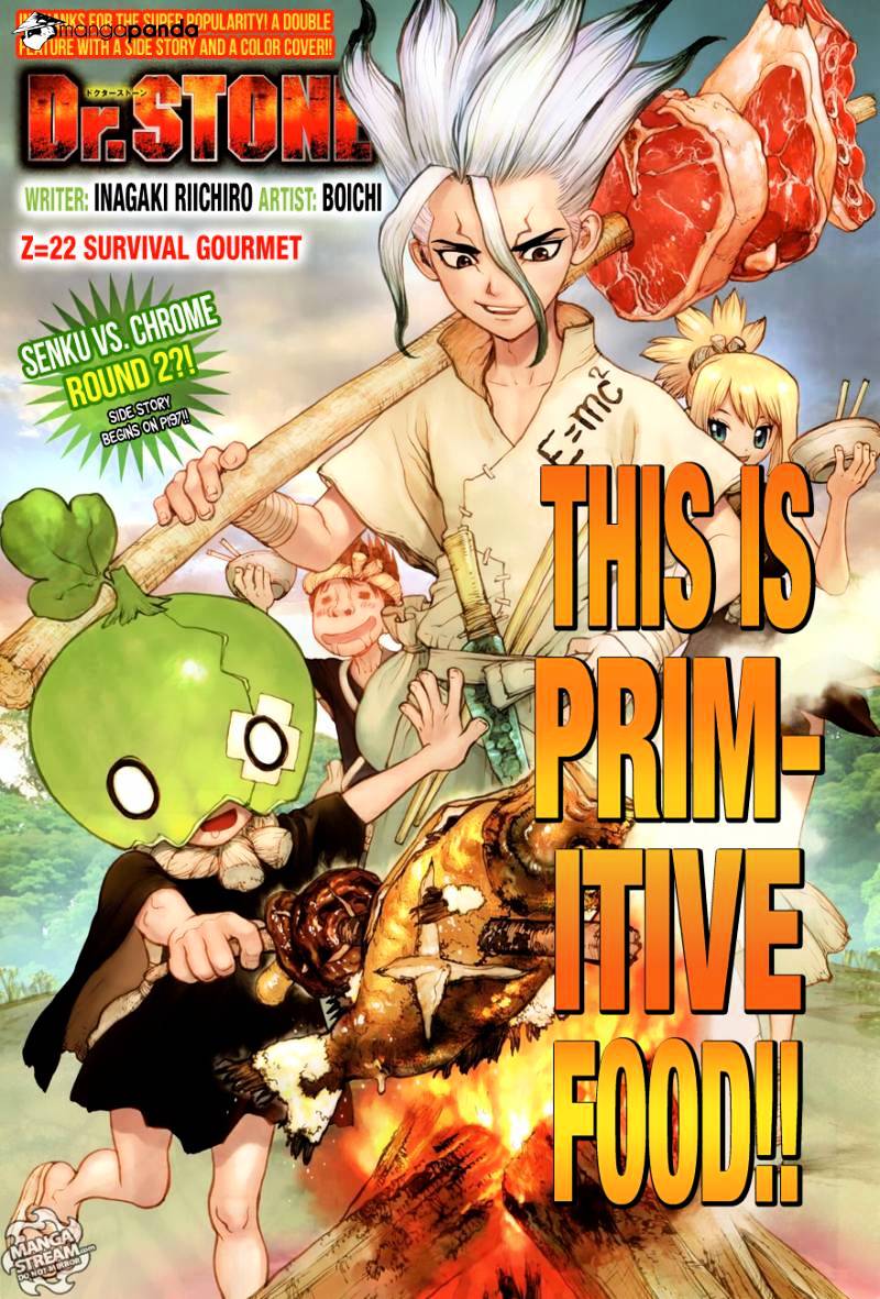 Read dr. Stone Manga Online