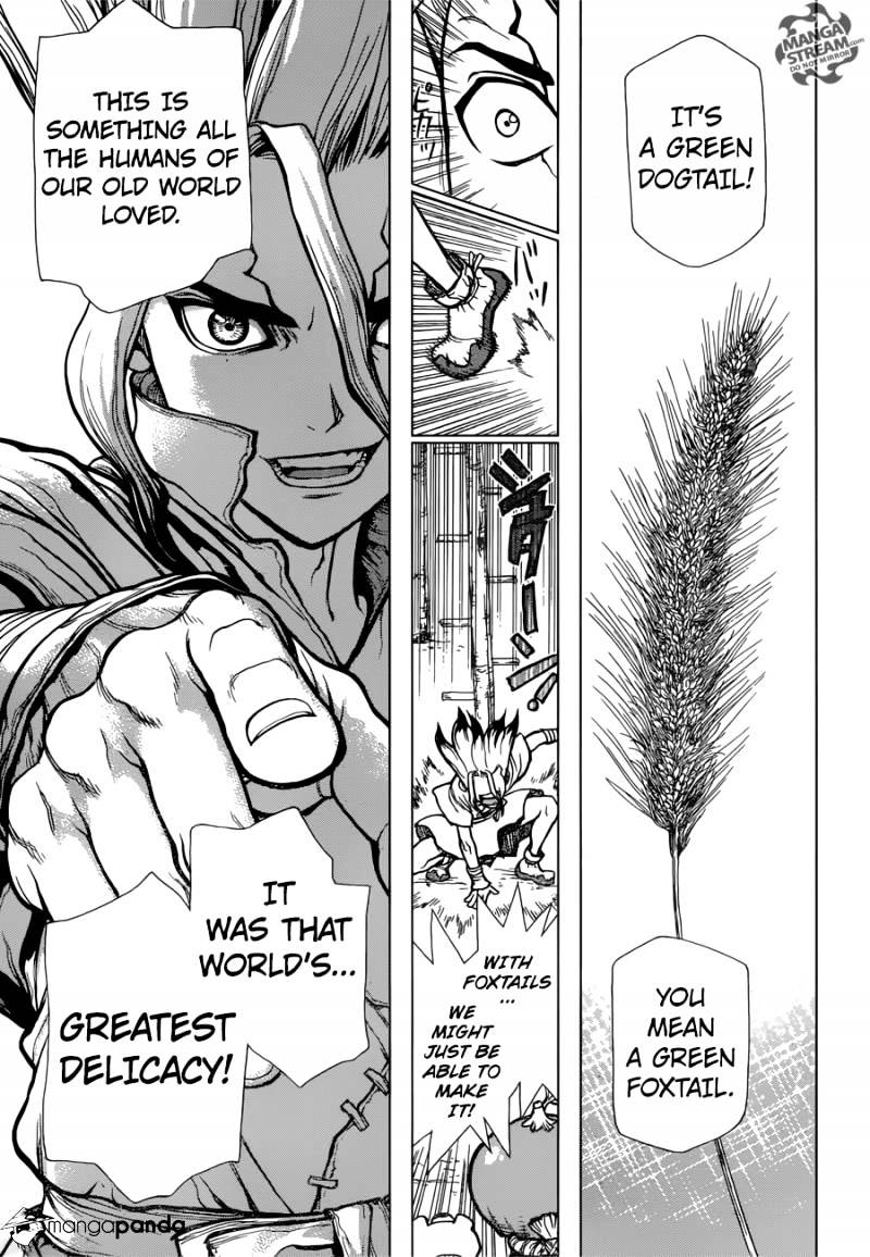 Read dr. Stone Manga Online