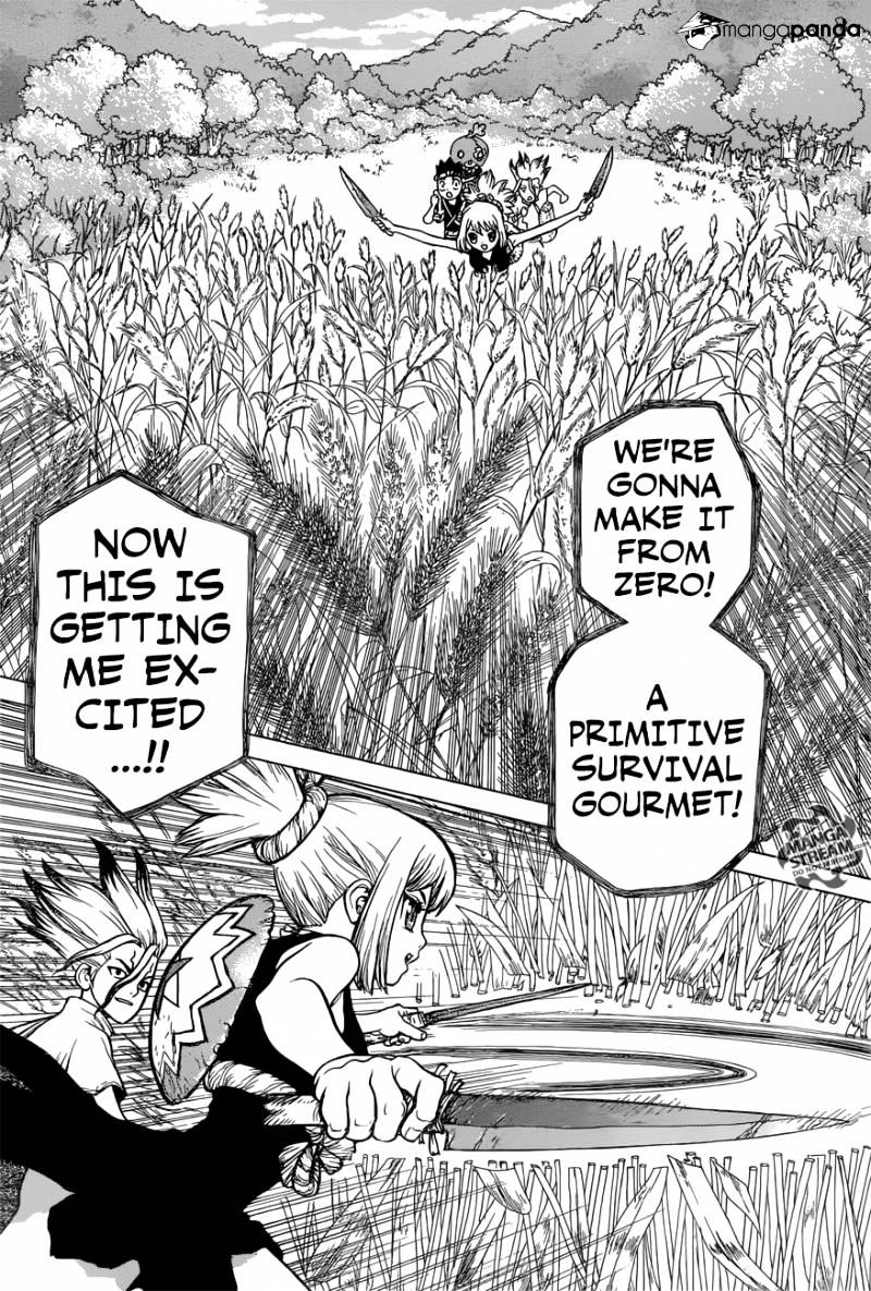 Read dr. Stone Manga Online