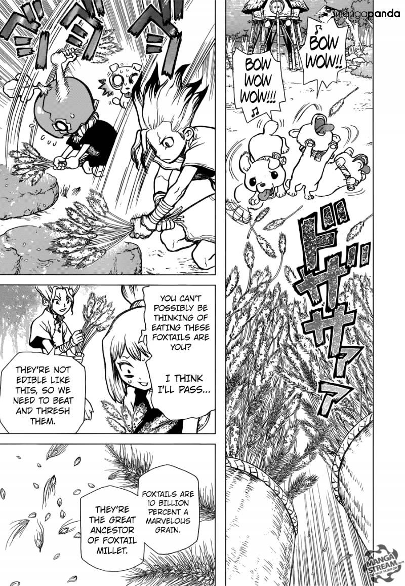 Read dr. Stone Manga Online