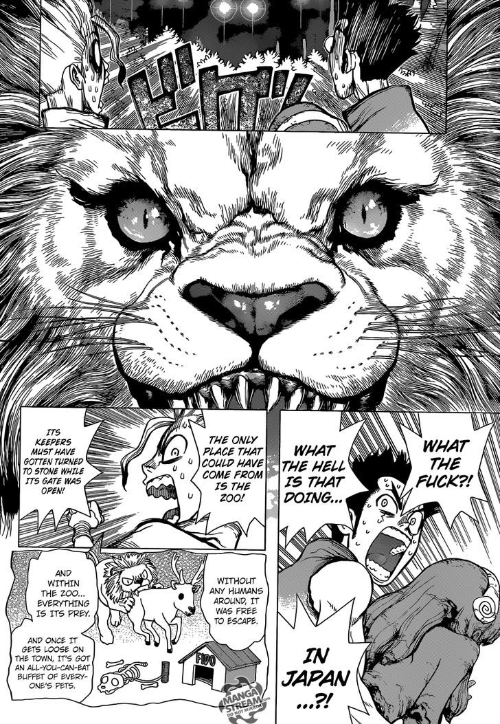 Read dr. Stone Manga Online
