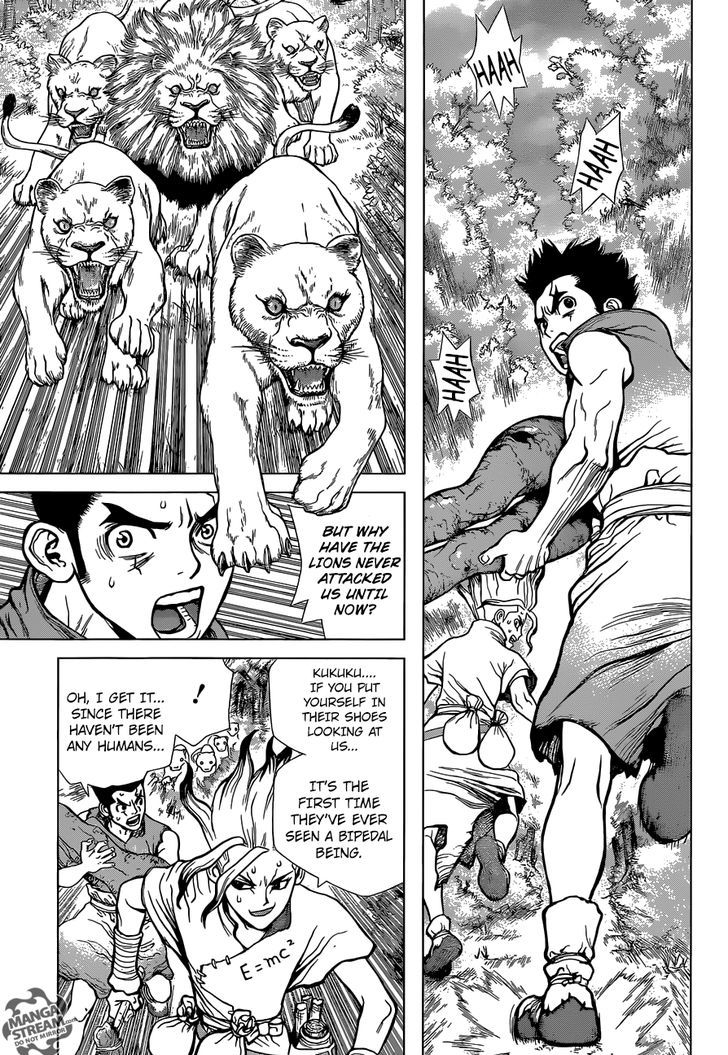 Read dr. Stone Manga Online