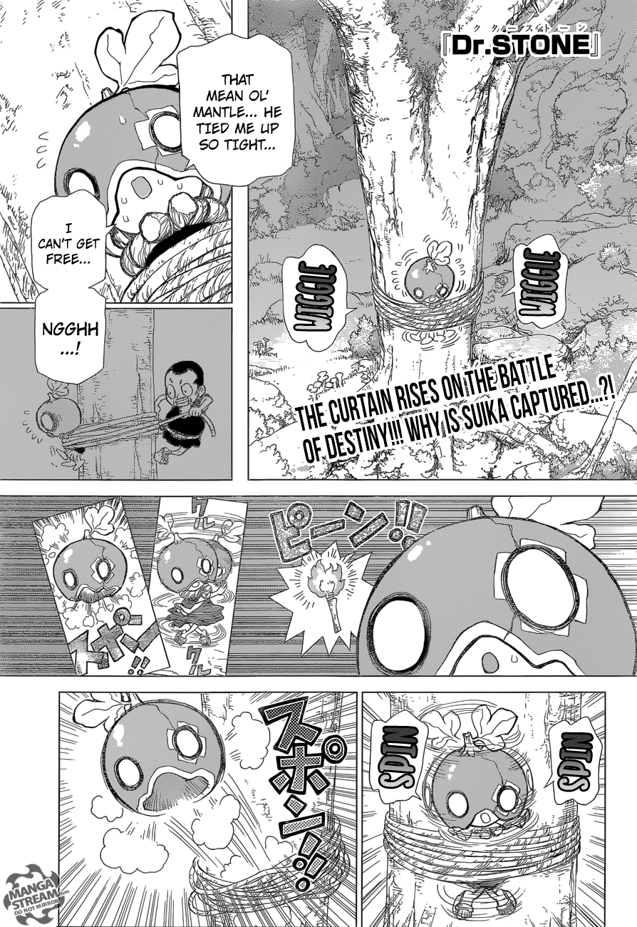 Read dr. Stone Manga Online