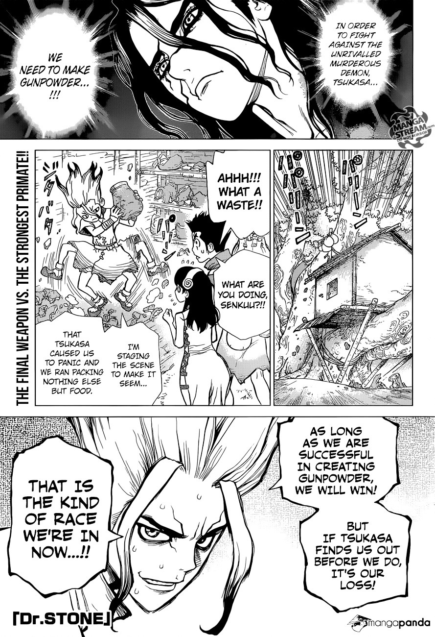 Read dr. Stone Manga Online