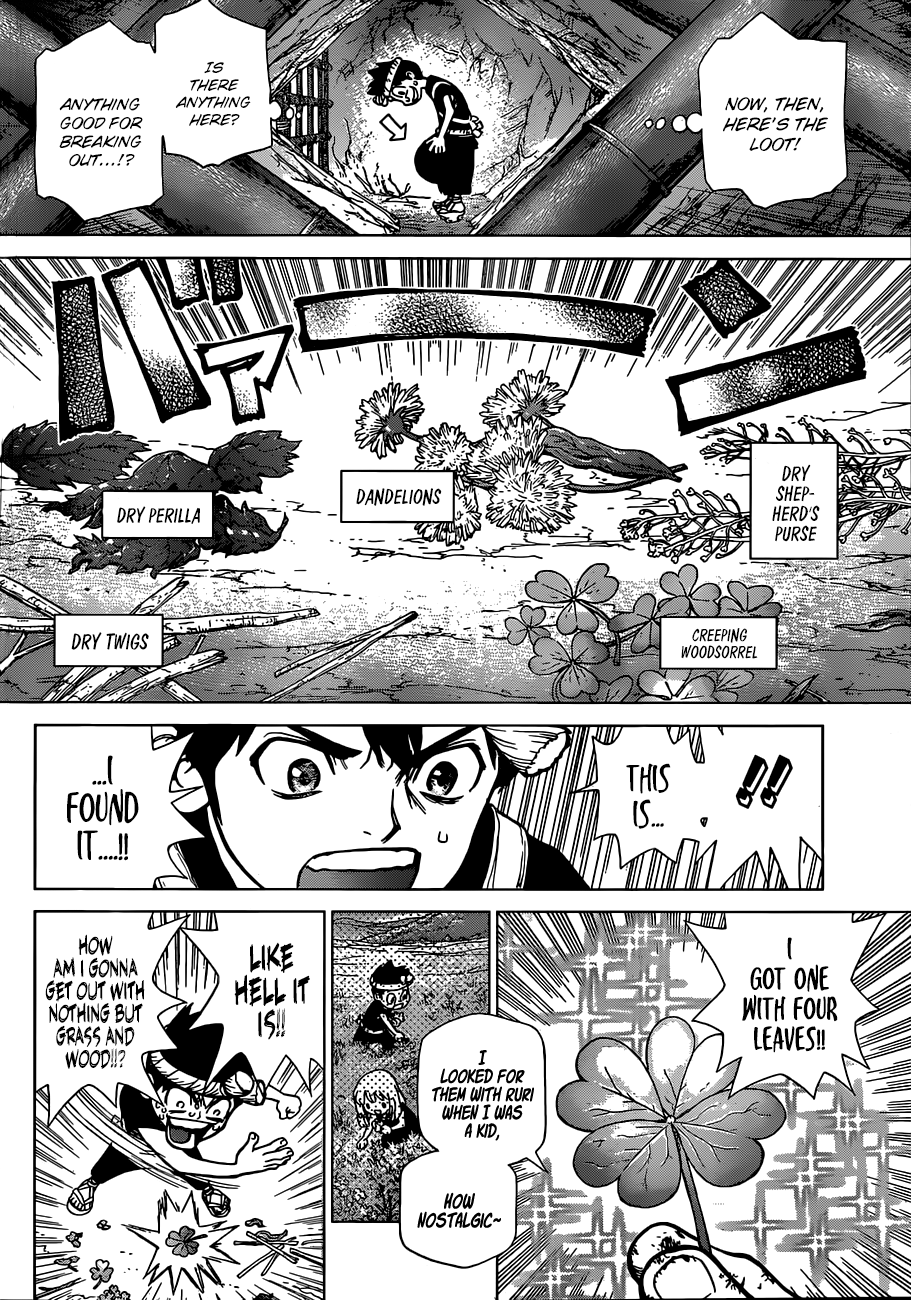Read dr. Stone Manga Online