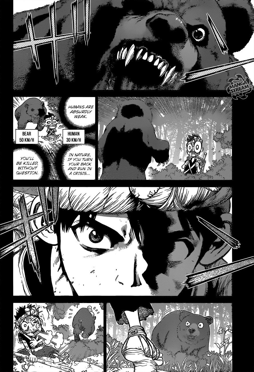 Read dr. Stone Manga Online