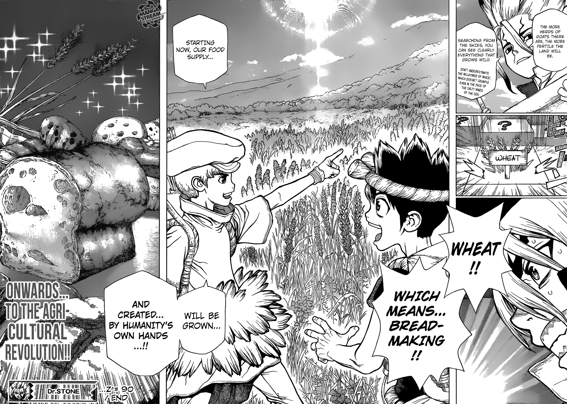 Read dr. Stone Manga Online